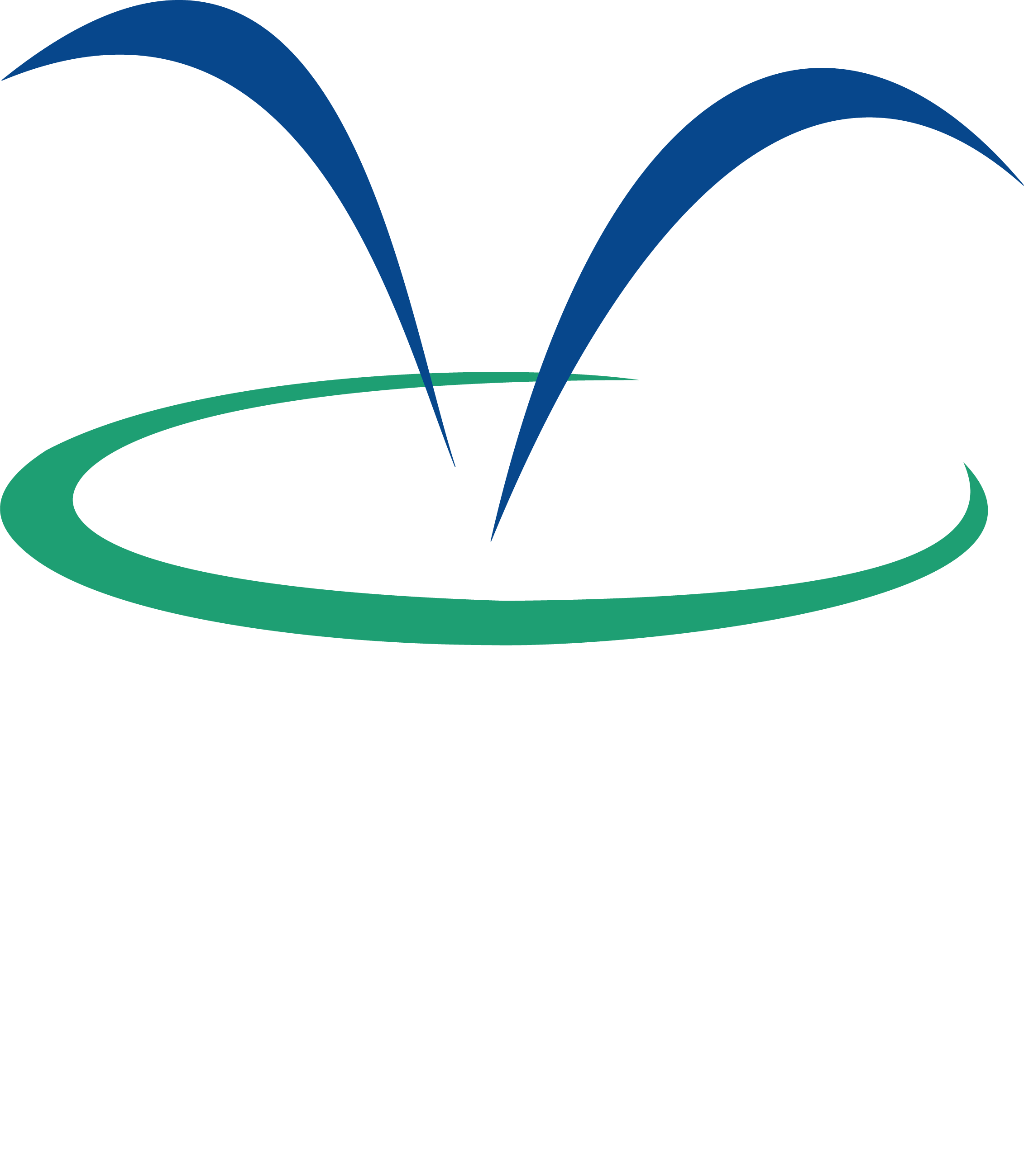 Logo LEMO